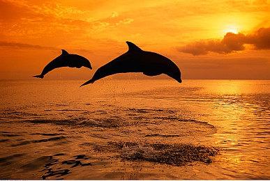 《真三国无双：起源》制作人将在CJ上公布新消息