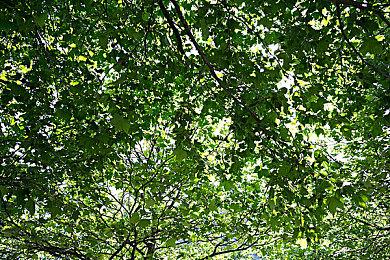 动作角色扮演游戏《琉隐九绝》Steam页面 支持简繁体中文