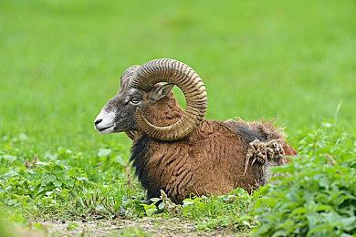 《杀手3》DLC“愤怒”上线 七宗罪最后一幕